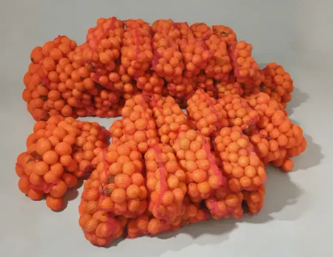 Presentación elegante de naranjas Rejano de Palma del Río