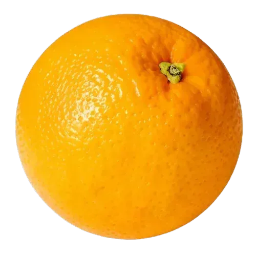 Naranja de autor recién recolectada de la Huerta Rejano en Palma del Río